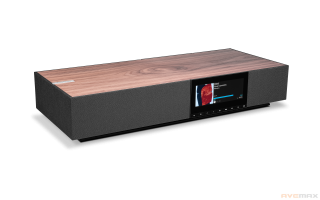 Cambridge Audio Evo One